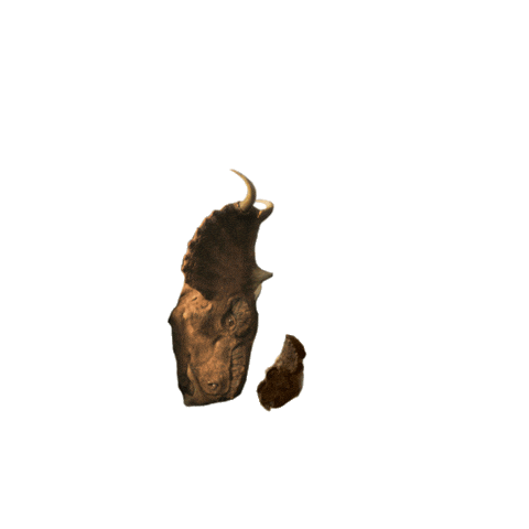 Walking With Dinosaurs Dinosaur Sticker by PBS