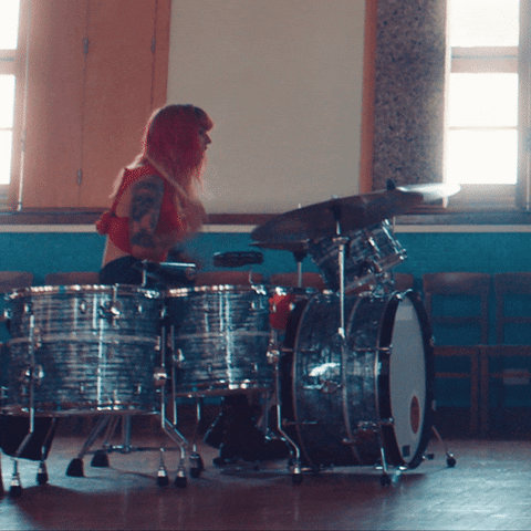 greygoose giphyupload drums rock and roll goose GIF