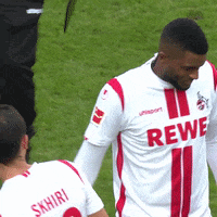 Well Done Football GIF by 1. FC Köln