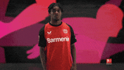 Bayer Leverkusen Arms GIF by Bundesliga