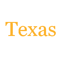 Texas Sticker