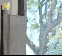 Masterpiece Mammootty GIF by DGZ Media