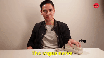 The Vegus Nerve