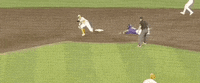 World Series Baseball GIF by NCAA Championships