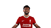 Premier League Football Sticker by Liverpool FC