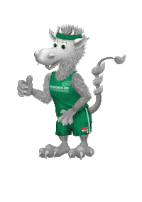 Sport Sumi Sticker by ASVÖ Steiermark