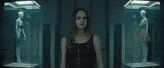 Music Video Fall GIF by Taylor Swift