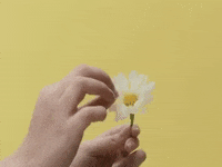 Do You Love Me GIF by Stephanie Poetri