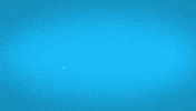Congratulations Congrats GIF