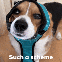 マイロ GIF