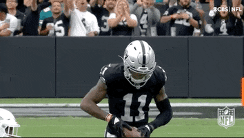 Las Vegas Raiders Football GIF by NFL