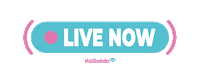 haibundacom live live now detikcom haibunda Sticker