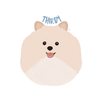 Dog Pomeranian Sticker