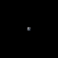 Cat Wow GIF by sillynub