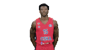 Sport Basketball Sticker by CSKA Moscow