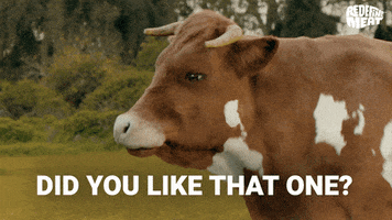 Cow Comedian GIF by Redefine Meat