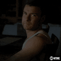 happy season 1 GIF by Ray Donovan