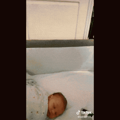 cuteanimalland giphyupload GIF