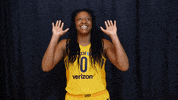 wnba feverbasketball GIF by Indiana Fever