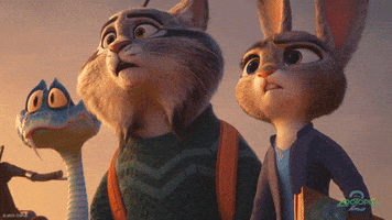 Andy Samberg What GIF by Walt Disney Animation Studios