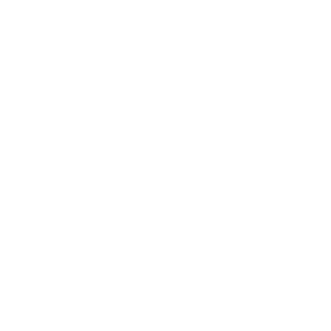 Spirit Bmx Sticker by RFORCE8