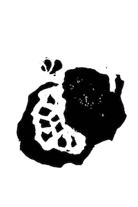 Passionfruit Sticker
