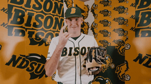 Baseball Bison GIF by NDSU Athletics