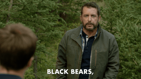 tbs network comedy GIF by The Detour