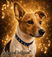Jack Russell Trend GIF