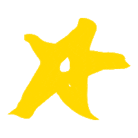 Yellow Star Sticker