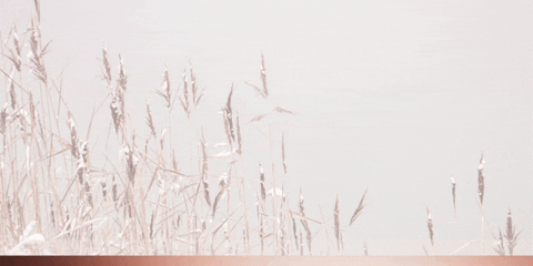 JackZamoraMD giphyupload GIF