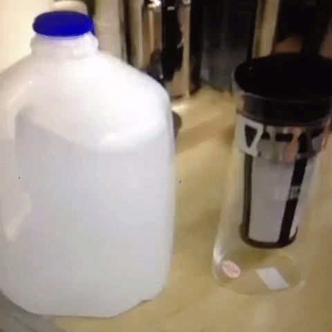 GIF by andymilonakis