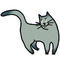 pavaconda cat gatto funnycat pavaconda Sticker