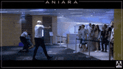 Movie Film GIF by Arrow Video