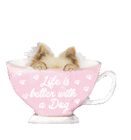 dog tnt Sticker by Tales&Tails