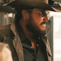 Rip Wheeler Yes GIF by Dutton Ranch