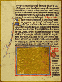 Elephant Pamela Chougne GIF