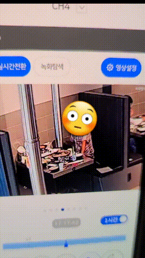 yj_jane giphyupload GIF