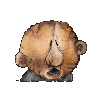 Short Film Animation Sticker by Alex Boya