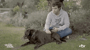 Sad Dog GIF by Un si grand soleil
