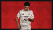 Fc Bayern Football GIF by Bundesliga