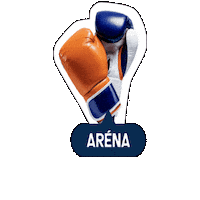 Arena Sticker by 5penazi_nbs