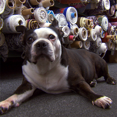 project runway GIF by Lifetime