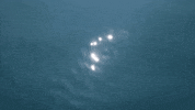 Water Mar GIF by jorgemariozuleta