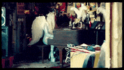 rainbow praying GIF by Kesha