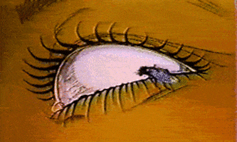 aeon flux fly GIF