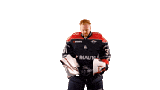 Celebration Hockey Sticker by Les Ducs d'Angers