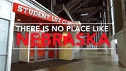 GIF by Huskers