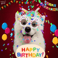 Happy Birthday GIF