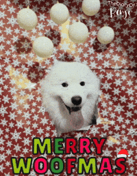 Merry Christmas GIF